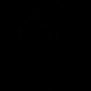 Meet your Posher, Abigail